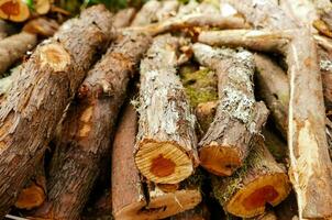 a pile of wood photo