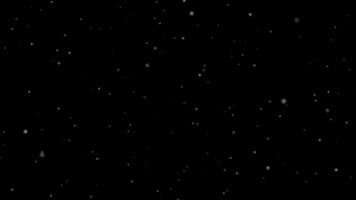 polvere particelle copertura galleggiante luccicante particelle trasparente sfondo con nero sfondo video