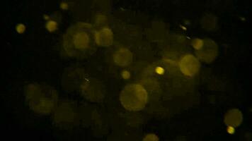 Bokeh shining colorful particles. Shimmering Glittering Particles loop animation with black background video