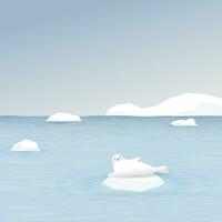 Seal on ice floe with coastal and iceberg behind vector illustration. Snow landscape concept have blank space.