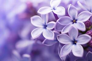 AI generated Lilac blossom macro background with copy space. AI Generated photo