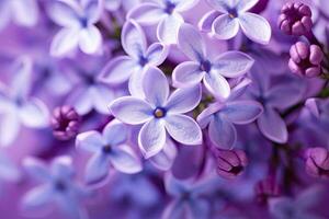 AI generated Lilac blossom macro background with copy space. AI Generated photo