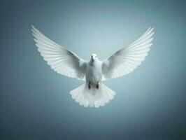 AI generated Front view photo of a flying dove on a white minimalistic background. High quality. AI Generative