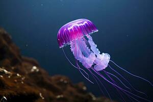 AI generated Mauve stinger purple jellyfish. AI Generated. photo