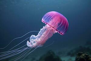 AI generated Mauve stinger purple jellyfish. AI Generated. photo