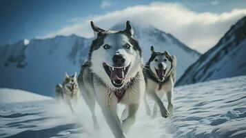 AI generated Siberian Huskies Racing in Snowy Landscape AI generated photo