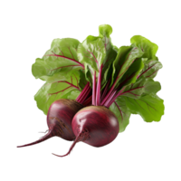 AI generated Fresh Red Beets on Transparent Background - Ai Generated png
