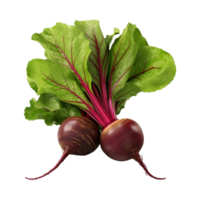 AI generated Fresh Red Beets on Transparent Background - Ai Generated png