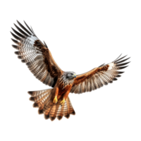 ai generiert fliegend Adler auf transparent Hintergrund - - ai generiert png