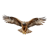 ai generiert fliegend Adler auf transparent Hintergrund - - ai generiert png