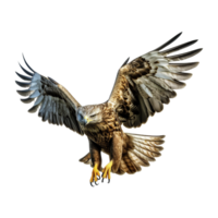 ai generiert fliegend Adler auf transparent Hintergrund - - ai generiert png