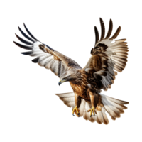 ai generiert fliegend Adler auf transparent Hintergrund - - ai generiert png