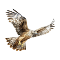 ai generiert fliegend Adler auf transparent Hintergrund - - ai generiert png