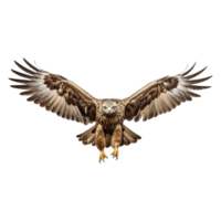 ai generiert fliegend Adler auf transparent Hintergrund - - ai generiert png