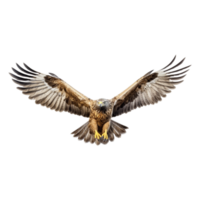 AI generated Flying Eagle on Transparent Background - Ai Generated png