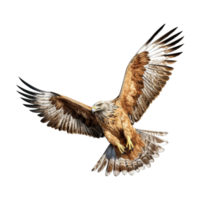 ai generiert fliegend Adler auf transparent Hintergrund - - ai generiert png