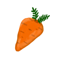 Sweet fresh carrot watercolor illustration png