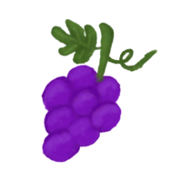 Purple Grapes with Leaves Isolated Hand Drawn Painting Illustration png