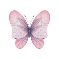 mariposa son rosa, azul, lila, volador, delicado con alas. mano dibujado acuarela ilustración. aislado elemento en un blanco fondo, para diseño. vector eps
