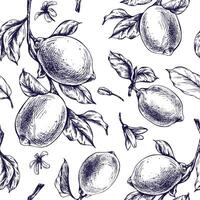 Lemons juicy, ripe with leaves, flower buds on the branches, whole and slices. Graphic botanical illustration hand drawn in blue ink. Seamless pattern EPS vector