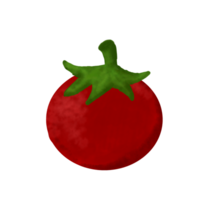 tomato hand drawn with watercolor painting style illustration png