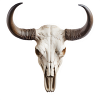 AI generated bull skull isolated on transparent background ,buffalo horn skull ,generative ai png