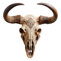 AI generated bull skull isolated on transparent background ,buffalo horn skull ,generative ai png