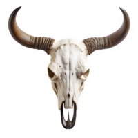 AI generated bull skull isolated on transparent background ,buffalo horn skull ,generative ai png