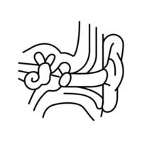 oído anatomía audiólogo médico línea icono vector ilustración