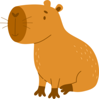 fofa capivara roedor png