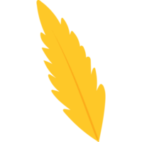 yellow feather carnival png