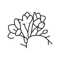 freesia flower spring line icon vector illustration