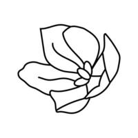 saffron food herb line icon vector illustration