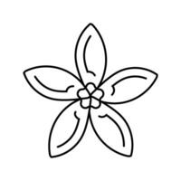 jazmín flor primavera línea icono vector ilustración