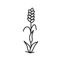 plant ripe yellow wheat line icon vector illustration