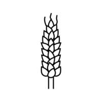 spikelet yellow wheat line icon vector illustration