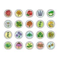 plant natural cosmetic green icons set vector