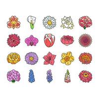 flower spring floral blossom icons set vector