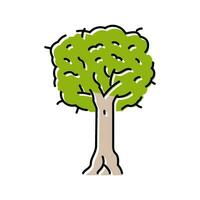 kauri jungle amazon color icon vector illustration