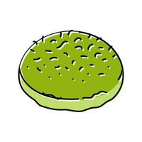 spinach bun food meal color icon vector illustration