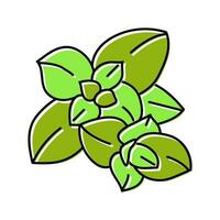 orégano comida hierba color icono vector ilustración