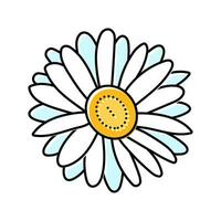 daisy blossom spring color icon vector illustration
