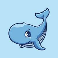 Blue Whale Cartoon Illustration vector