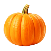 ai generado ai generativo foto de Fresco calabaza. png