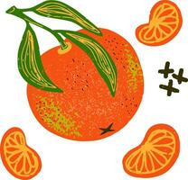 an orange with leaves and slices of oranges around it vector