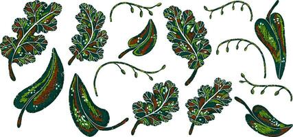 a set of leaves with green and red designs vector