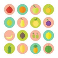 A set of colored round fruit icons in flat vector