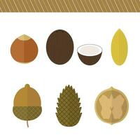 conjunto de nueces en plano diseño vector