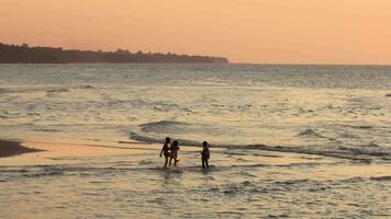 siluetas de 3 pequeño niños jugando en el playa a puesta de sol. actividad en el tarde video