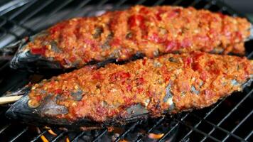 A la parrilla barrilete atún o cakalang con delicioso picante Condimento video